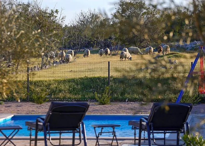 فيلة Niko Pet Friendly 200 M From Hidden Sandy Pets For Free
