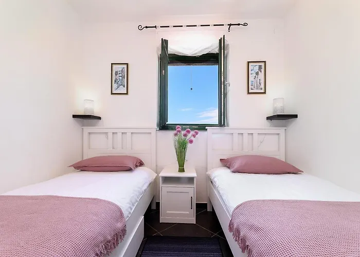 Niko Pet Friendly 200 M From Hidden Sandy Pets For Free * Rudine