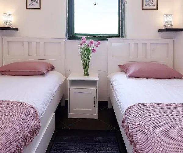 Niko Pet Friendly 200 M From Hidden Sandy Pets For Free