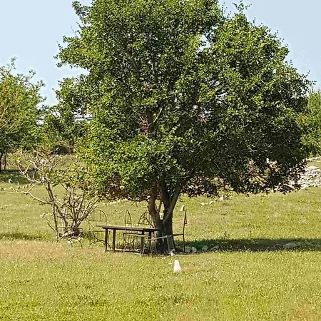 Niko Pet Friendly 200 M From Hidden Sandy Pets For Free Vila