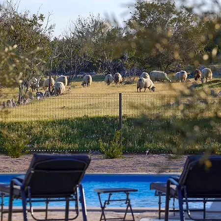 Villa Niko Pet Friendly 200 M From Hidden Sandy Pets For Free
