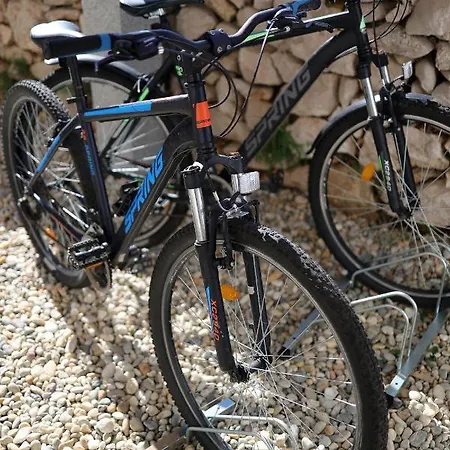 Niko Pet Friendly 200 M From Hidden Sandy Pets For Free Willa Rudine (Dobrinj)