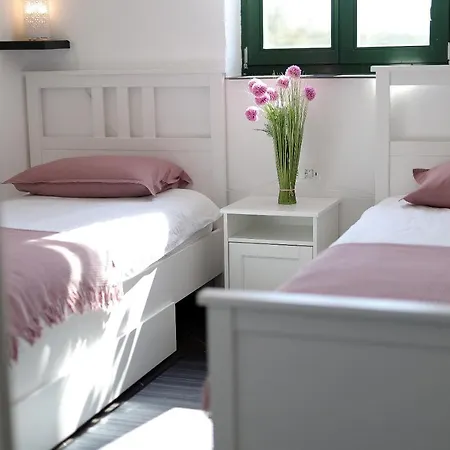 Niko Pet Friendly 200 M From Hidden Sandy Pets For Free * Rudine (Dobrinj)