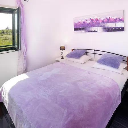 Otok Krk Niko Pet Friendly 200 M From Hidden Sandy Pets For Free *