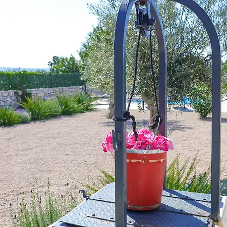 Niko Pet Friendly 200 M From Hidden Sandy Pets For Free * Rudine (Dobrinj)