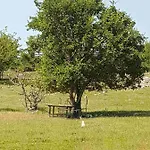 Niko Pet Friendly 200 M From Hidden Sandy Pets For Free Villa