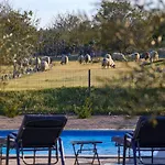 Villa Niko Pet Friendly 200 M From Hidden Sandy Pets For Free