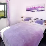 Niko Pet Friendly 200 M From Hidden Sandy Pets For Free *